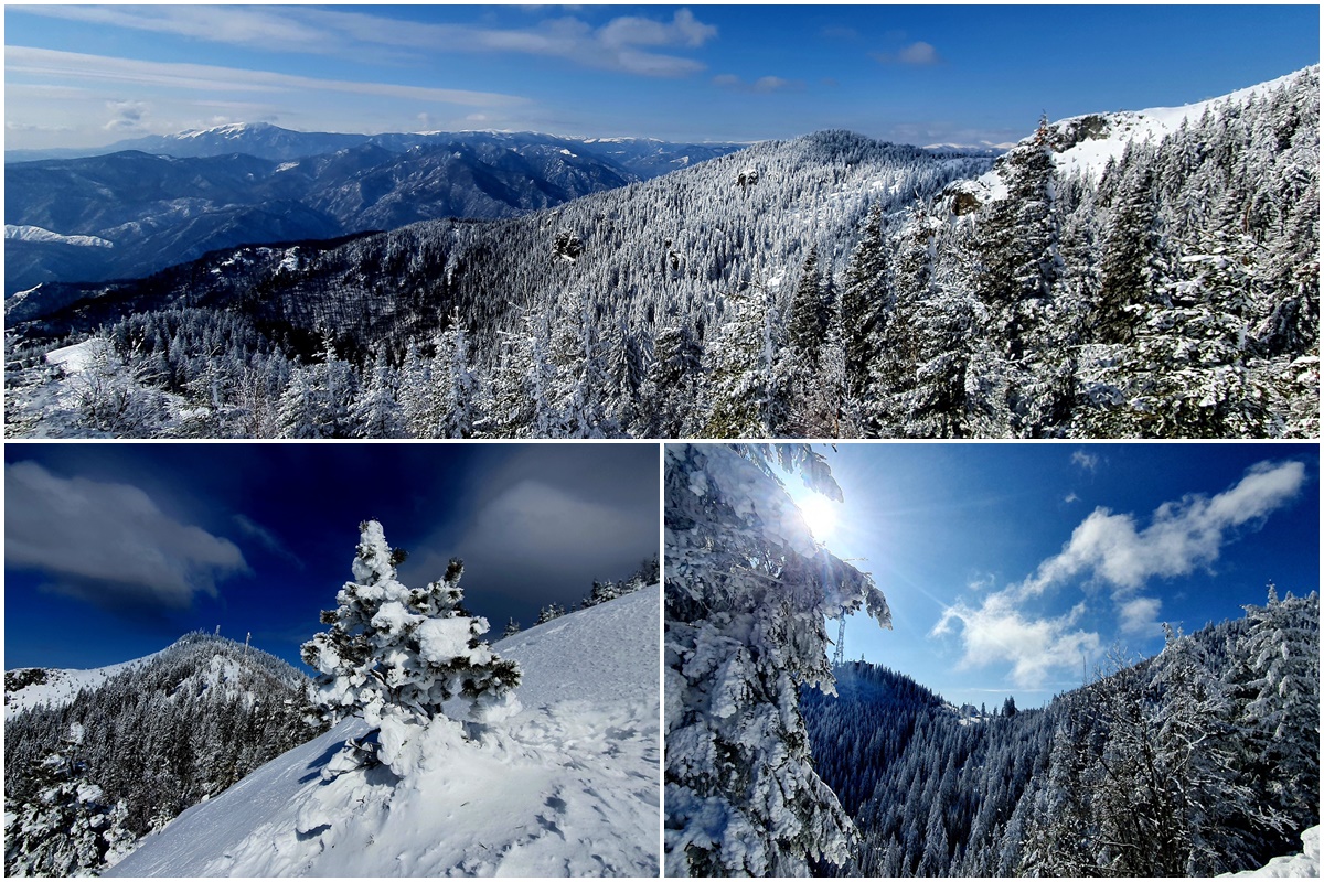 Winter im Nationalpark Cozia | Landkreis Valcea